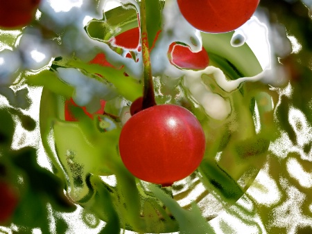 Red berries with polar coords effect