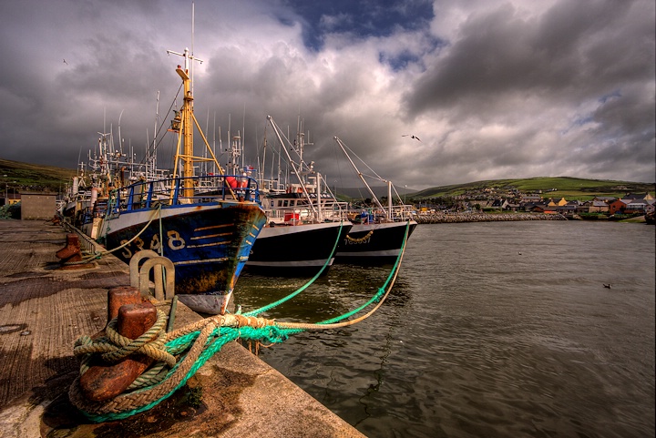 Dingle Harbor 