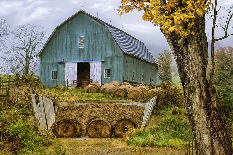 The Little Blue Barn