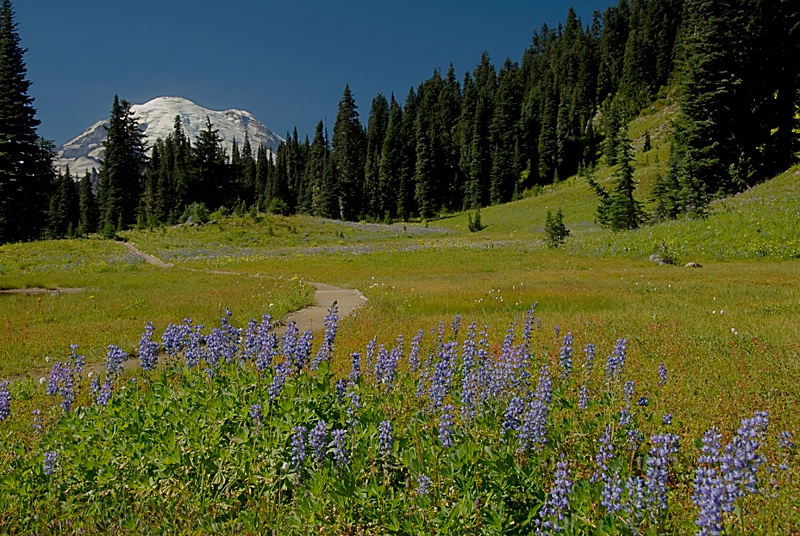 Chinook Pass