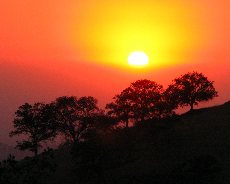 Hazy Sunset in the California Foothills