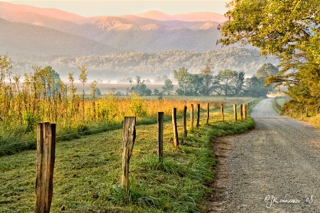 Cade's Cove Morning