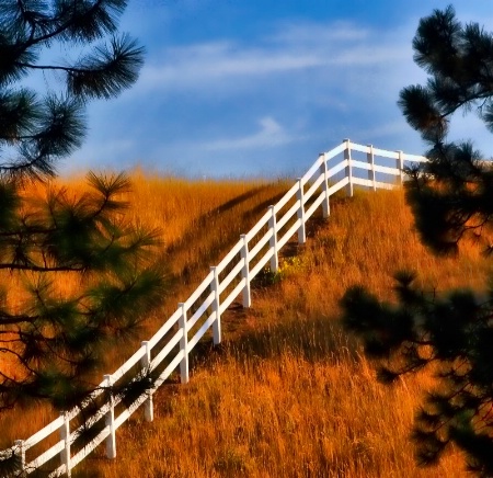 Fence On A Hill