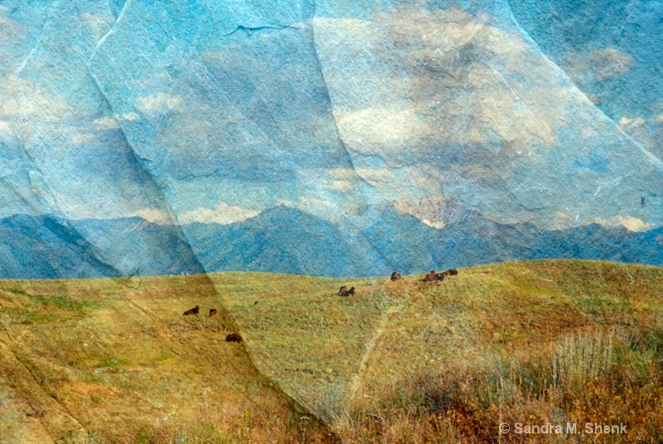 National Bison Range - ID: 7007472 © Sandra M. Shenk