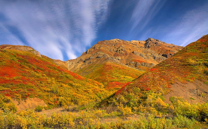 Fall Color In Alaska 