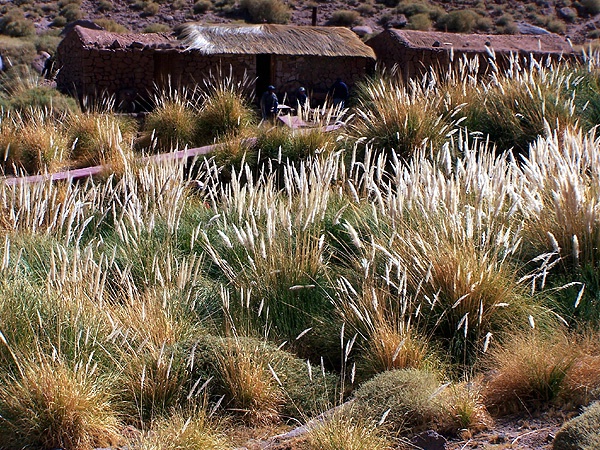 san perdo de atacama