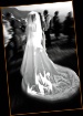 <B>The Dress</b>