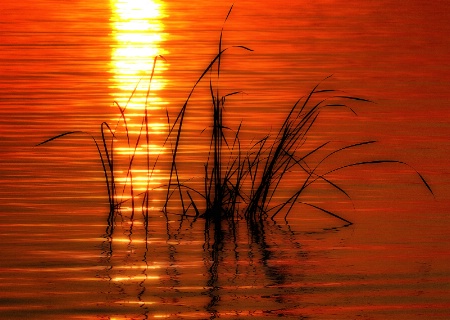 On Golden Pond