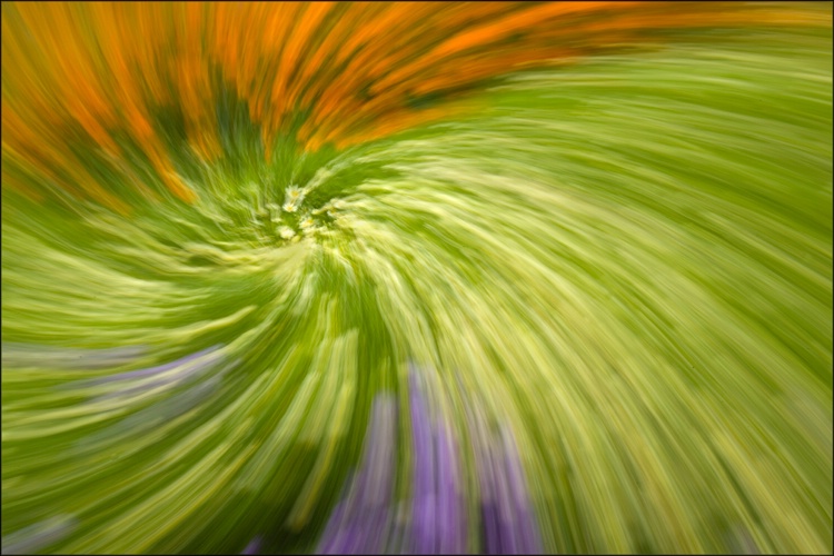 Spin Twist in Monet's Garden