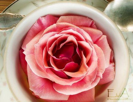 <b>Rose Tea</b>