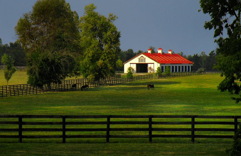 Lexington Barn