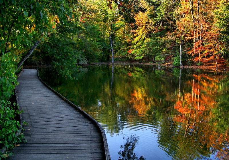 Fall Walkway