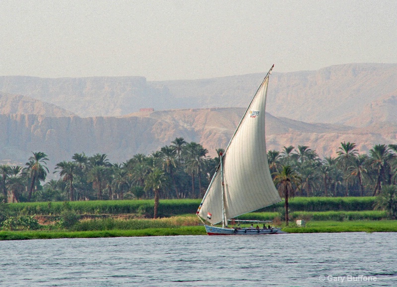 Falooka on Nile