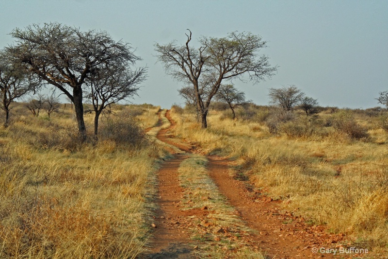 Namibian Road Less Traveled