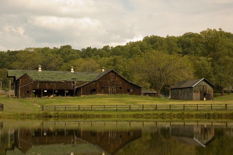 The Old Horse Barn