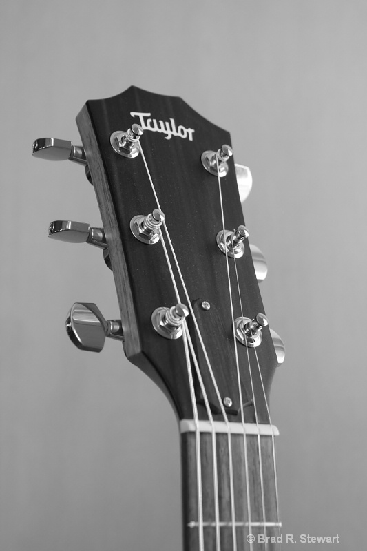 Taylor Acoustic Headstock