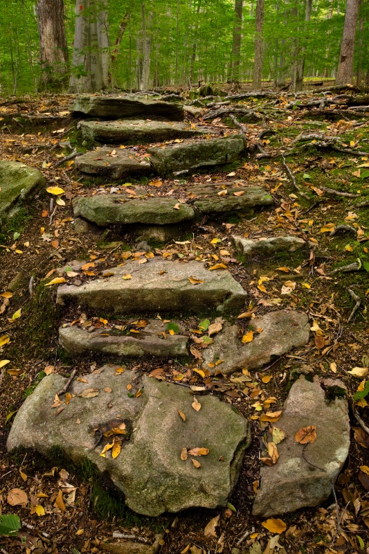 Steps Toward Early Fall