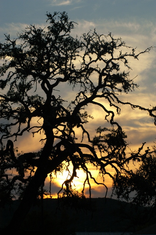 Hill Country Sunset - ID: 7090181 © Mike D. Perez