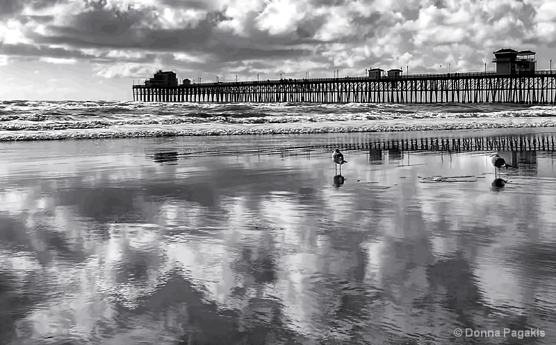 Reflections in the Wet Sand