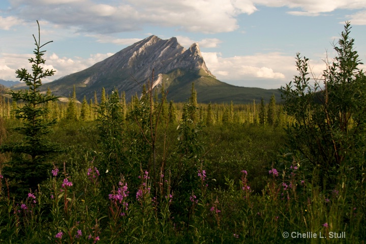 Sukakpak Mountain, Dalton Highway, Alaska (2008) 