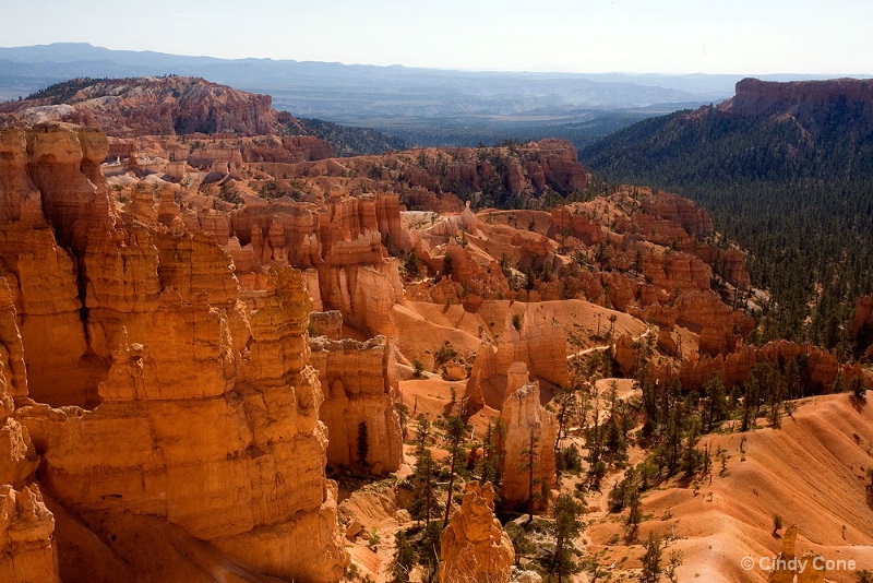 Bryce Ampitheater