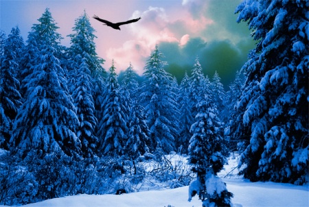 Winter Chill