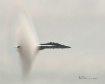 Sonic Boom