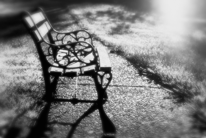 Lonely Places in Black & White - ID: 7124039 © Susan M. Reynolds