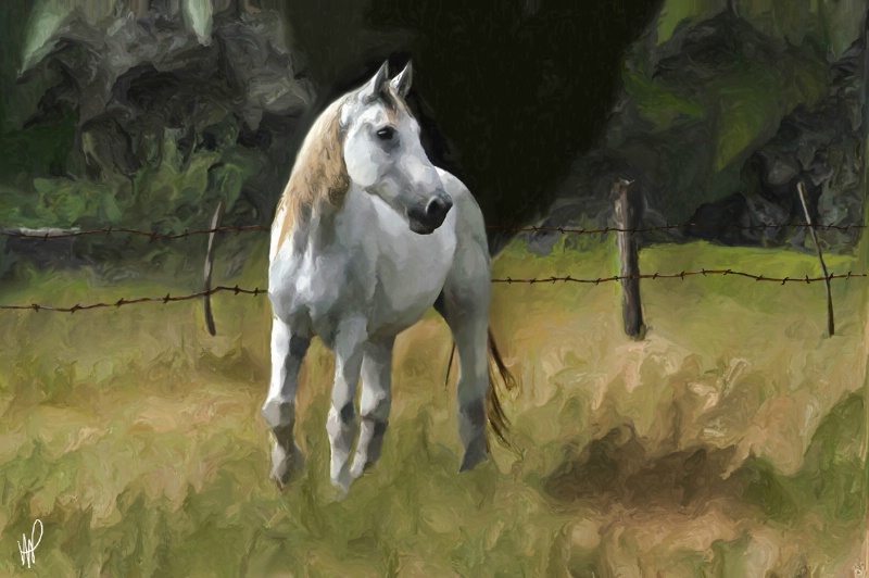White Stallion (Painted) - ID: 7126705 © Mike D. Perez