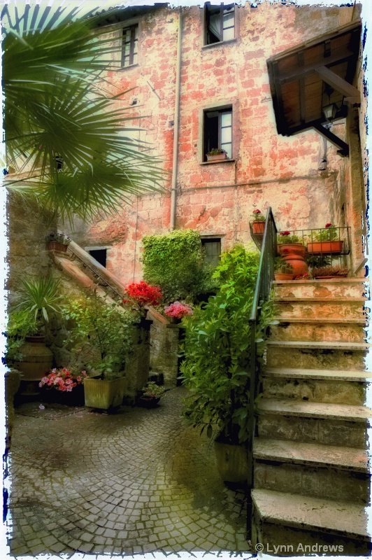 flowers in the courtyard - ID: 7127095 © Lynn Andrews