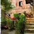2flowers in the courtyard - ID: 7127095 © Lynn Andrews