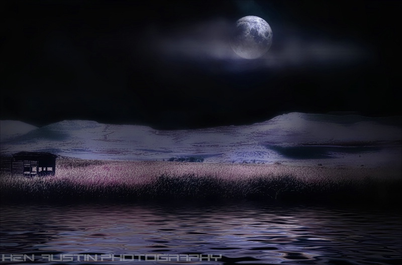 Moonlight Marsh
