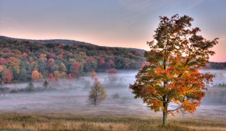 Canaan Valley Morning