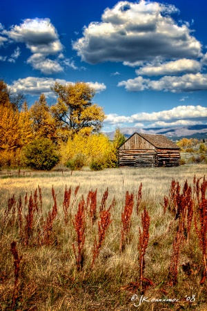 Colorado Cabin