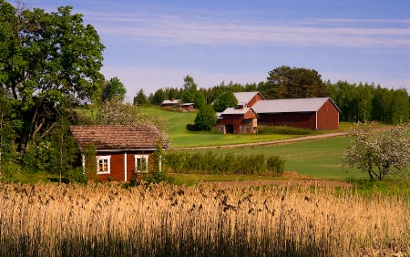 Finnish Countryside