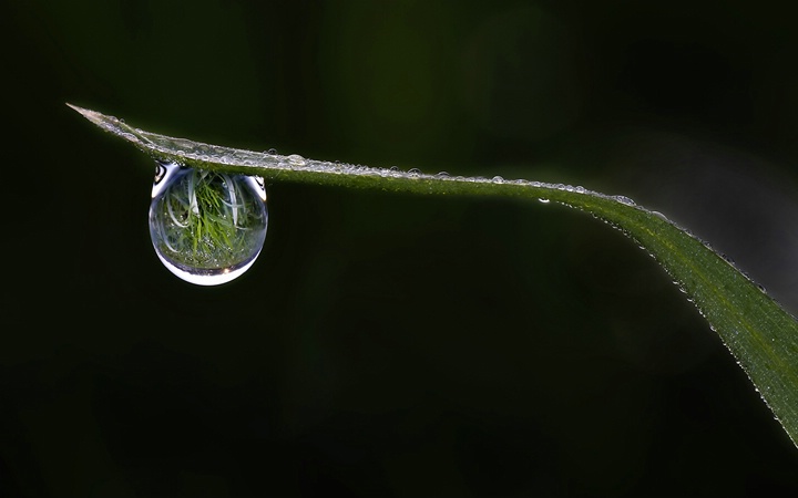 Sunrise in a Dewdrop