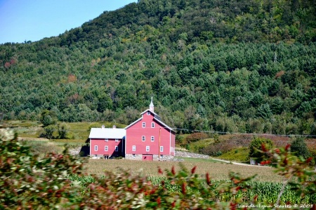 Vermont Barn-2