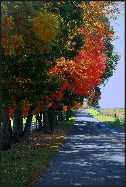 Fall Road...