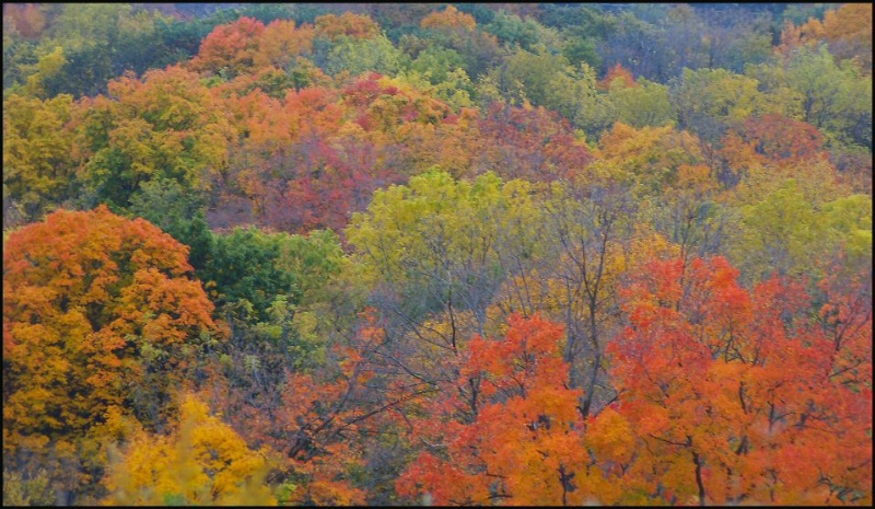 Exhibiting Autumn