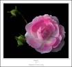 For You
