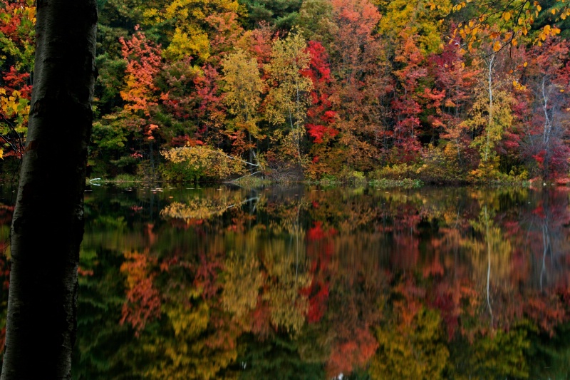 Fall Reflections 2