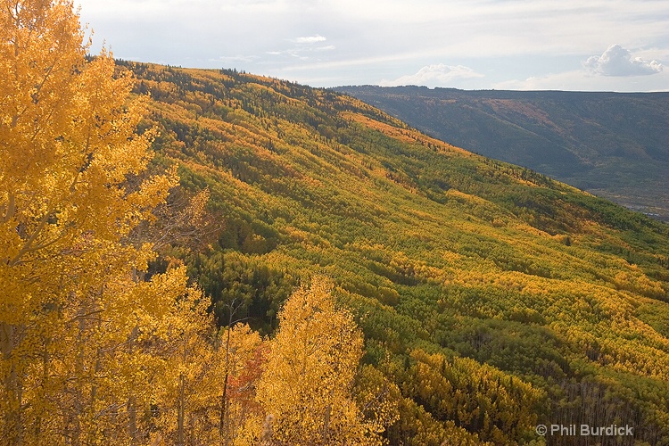 grand mesa hillside - ID: 7164480 © Phil Burdick