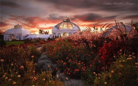 Botanical Garden Sunset