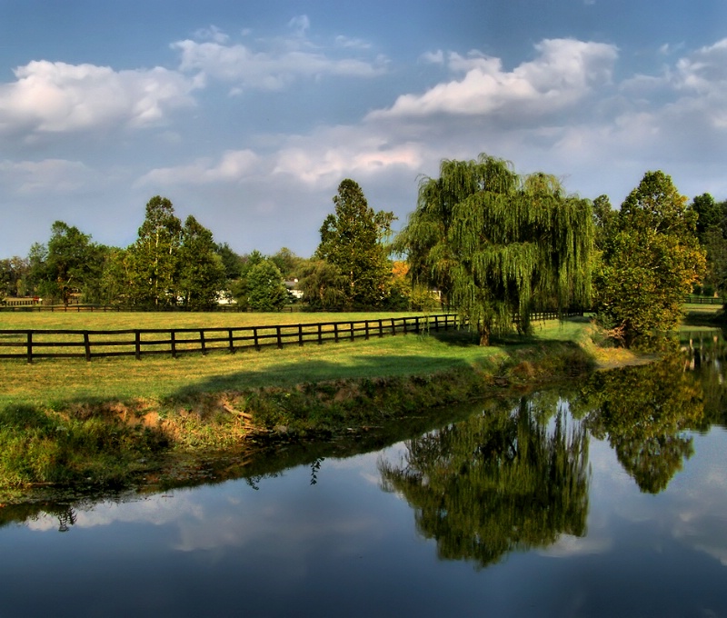 Lexington Reflections