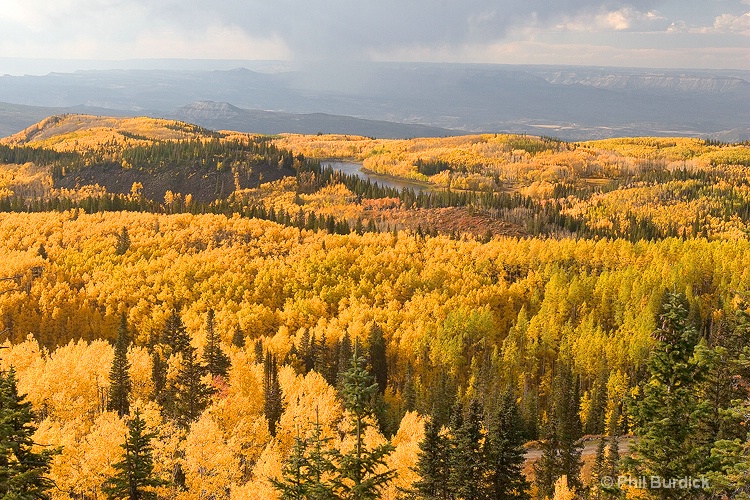 Grand Mesa - ID: 7166548 © Phil Burdick