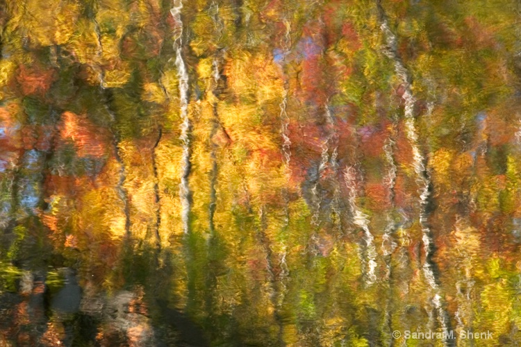 autumn reflection #4 - ID: 7168074 © Sandra M. Shenk
