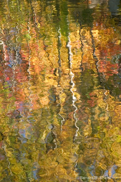 autumn reflection #2 - ID: 7168076 © Sandra M. Shenk