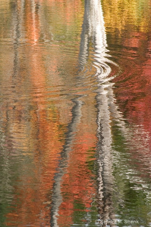 birch autumn reflection verticle - ID: 7168118 © Sandra M. Shenk