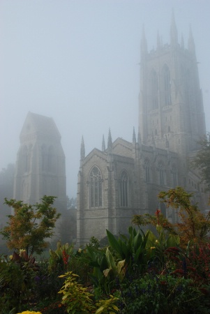 Fog Cathedral