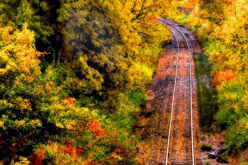 View From A Bridge